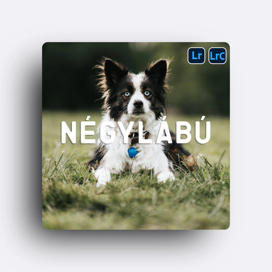 NÉGYLÁBÚ